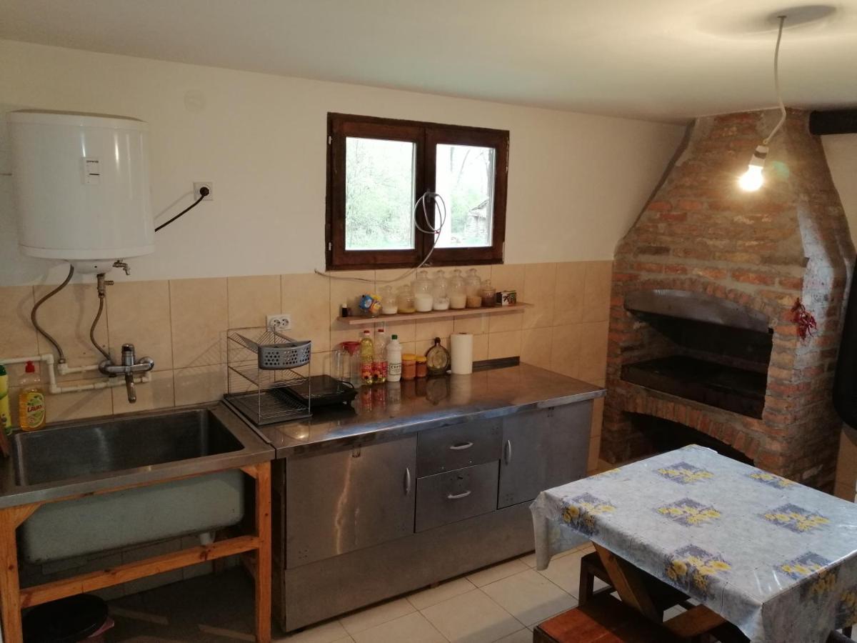 Villa Etno Kuca Nikolov Dimitrovgrad Exterior foto