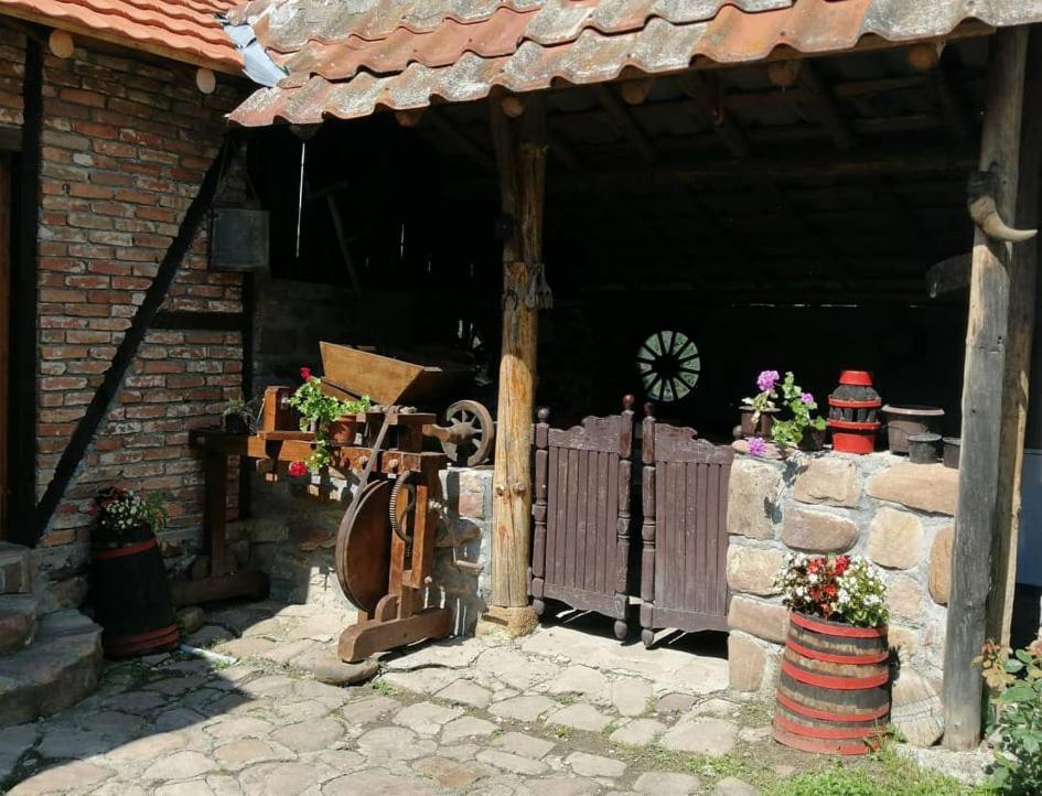 Villa Etno Kuca Nikolov Dimitrovgrad Exterior foto